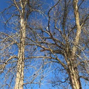 Meet your Posher, Lily